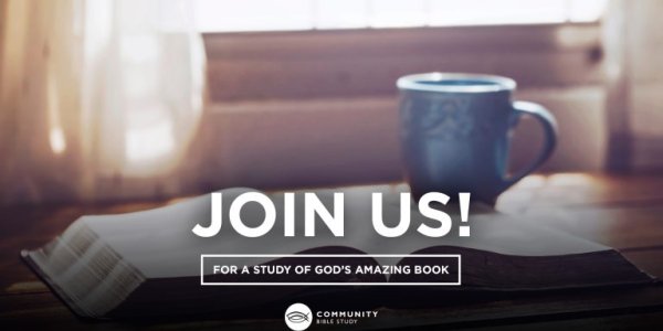 The Bible: God's Amazing Book